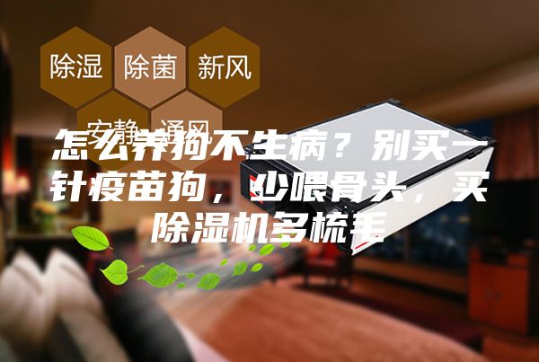 怎么養狗不生病？別買一針疫苗狗，少喂骨頭，買除濕機多梳毛