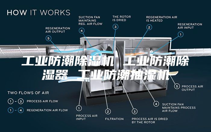 工業(yè)防潮除濕機(jī) 工業(yè)防潮除濕器 工業(yè)防潮抽濕機(jī)
