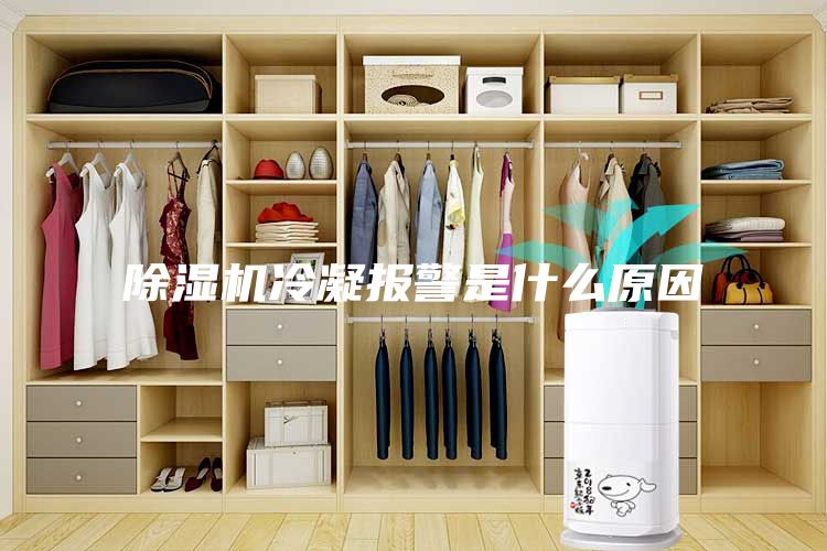 除濕機冷凝報警是什么原因