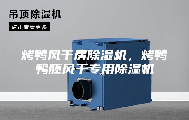 烤鴨風干房除濕機，烤鴨鴨胚風干專用除濕機