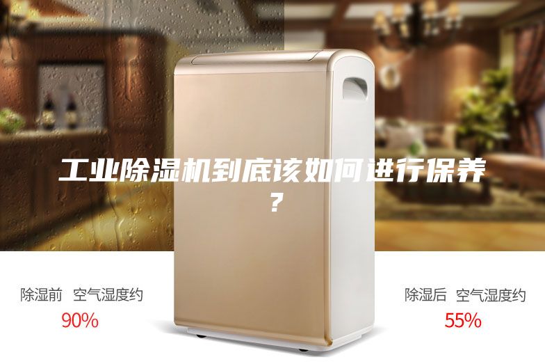 工業(yè)除濕機(jī)到底該如何進(jìn)行保養(yǎng)？