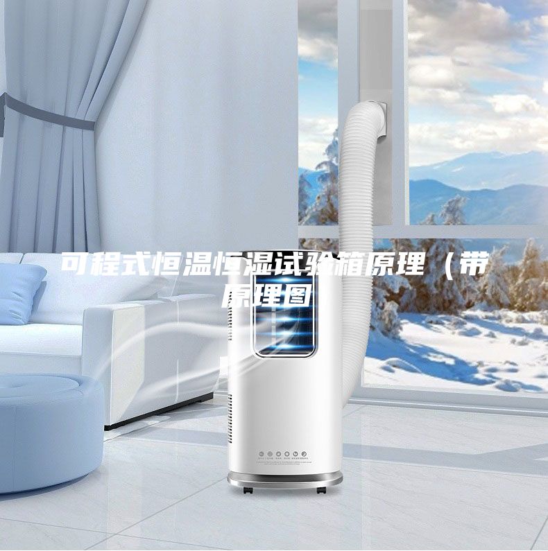 可程式恒溫恒濕試驗(yàn)箱原理(帶原理圖)