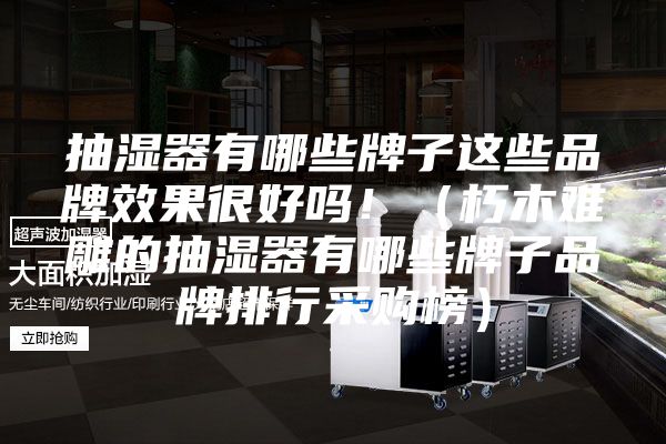 抽濕器有哪些牌子這些品牌效果很好嗎!(朽木難雕的抽濕器有哪些牌子品牌排行采購(gòu)榜)