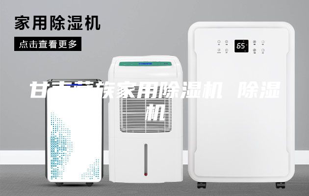 甘南藏族家用除濕機 除濕機