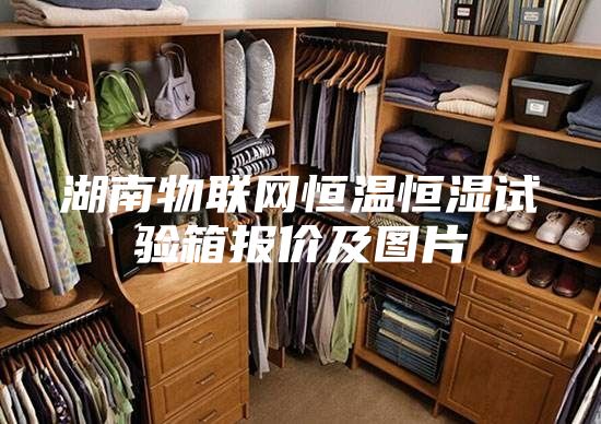 湖南物聯(lián)網(wǎng)恒溫恒濕試驗箱報價及圖片