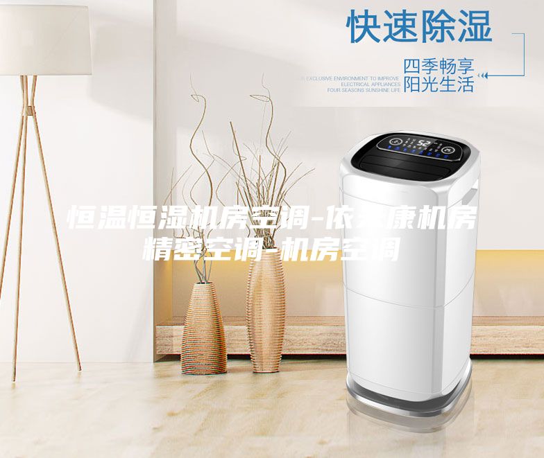 恒溫恒濕機(jī)房空調(diào)-依米康機(jī)房精密空調(diào)-機(jī)房空調(diào)