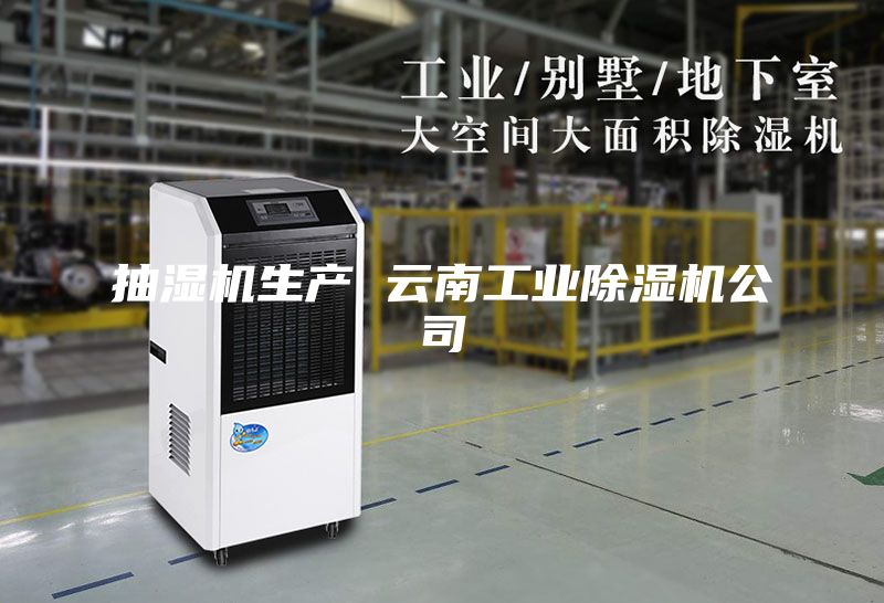 抽濕機生產(chǎn) 云南工業(yè)除濕機公司