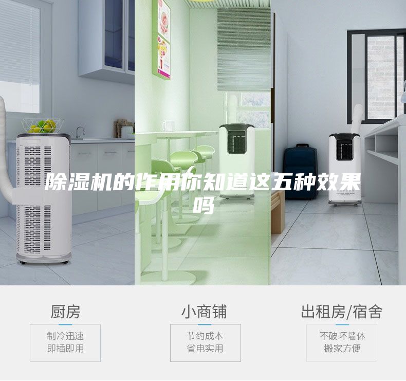 除濕機(jī)的作用你知道這五種效果嗎