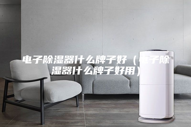 電子除濕器什么牌子好（電子除濕器什么牌子好用）