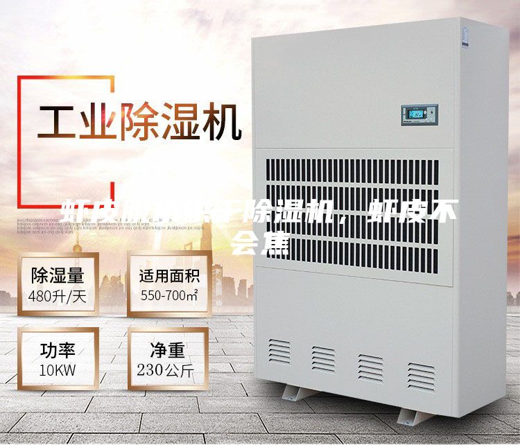 蝦皮脫水烘干除濕機，蝦皮不會焦