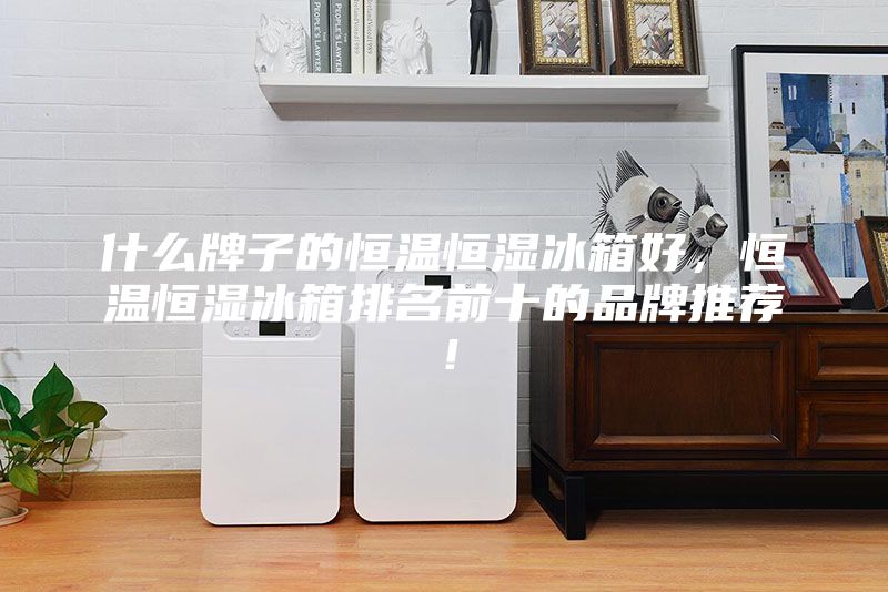 什么牌子的恒溫恒濕冰箱好，恒溫恒濕冰箱排名前十的品牌推薦！