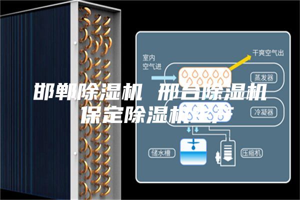 邯鄲除濕機(jī) 邢臺(tái)除濕機(jī) 保定除濕機(jī)生產(chǎn)