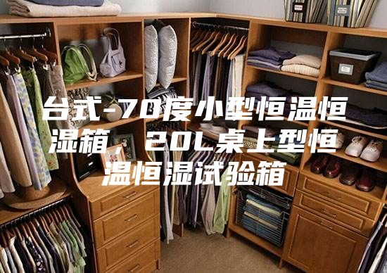 臺式-70度小型恒溫恒濕箱,20L桌上型恒溫恒濕試驗箱