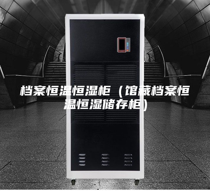 檔案恒溫恒濕柜(館藏檔案恒溫恒濕儲存柜)