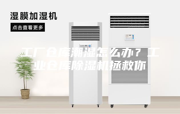 工廠倉庫潮濕怎么辦？工業倉庫除濕機拯救你