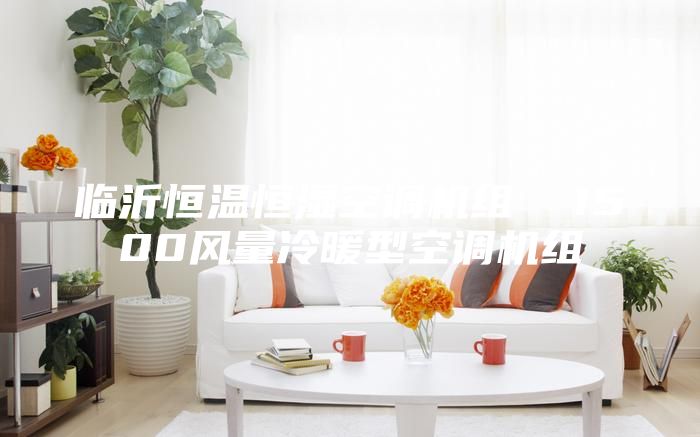 臨沂恒溫恒濕空調(diào)機(jī)組  1500風(fēng)量冷暖型空調(diào)機(jī)組