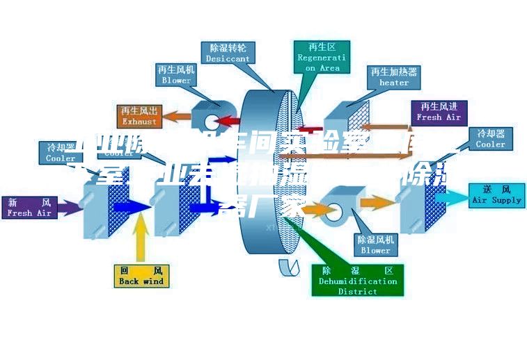 工業除濕機車間實驗室倉庫地下室工業去濕抽濕器工業除濕器廠家