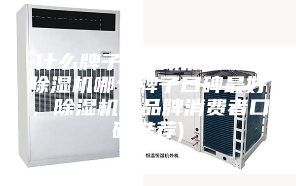 什么牌子除濕機質量好(除濕機哪個牌子口碑最好，除濕機的品牌消費者口碑推薦)