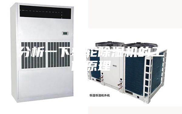 分析一下轉(zhuǎn)輪除濕機的工作原理