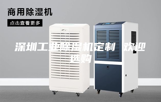 深圳工業(yè)除濕機定制 歡迎選購