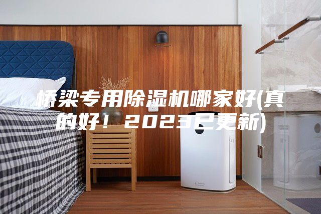 橋梁專用除濕機(jī)哪家好(真的好!2023已更新)