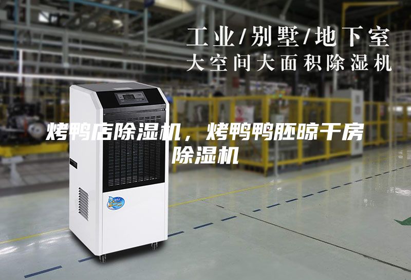 烤鴨店除濕機，烤鴨鴨胚晾干房除濕機