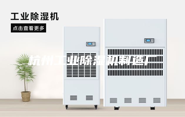 杭州工業(yè)除濕機制造廠