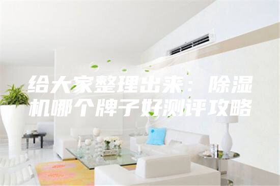 給大家整理出來(lái)：除濕機(jī)哪個(gè)牌子好測(cè)評(píng)攻略