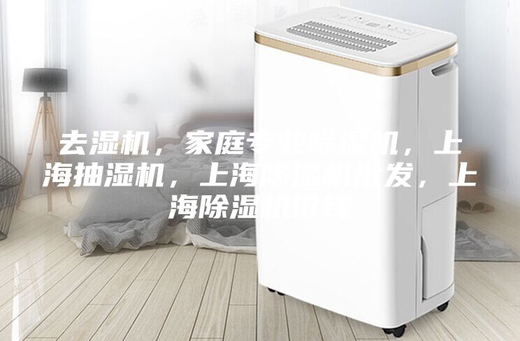 去濕機，家庭專業除濕機，上海抽濕機，上海除濕機批發，上海除濕機價錢