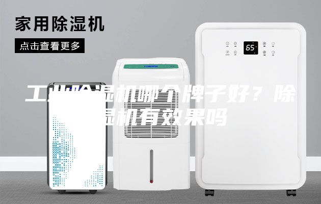 工業除濕機哪個牌子好?除濕機有效果嗎