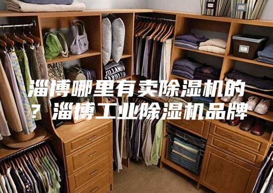 淄博哪里有賣除濕機的？淄博工業除濕機品牌