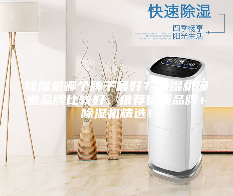 除濕機哪個牌子最好？除濕機哪些品牌比較好，推薦優(yōu)質(zhì)品牌+除濕機精選！