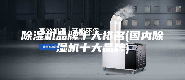 除濕機(jī)品牌十大排名(國內(nèi)除濕機(jī)十大品牌)