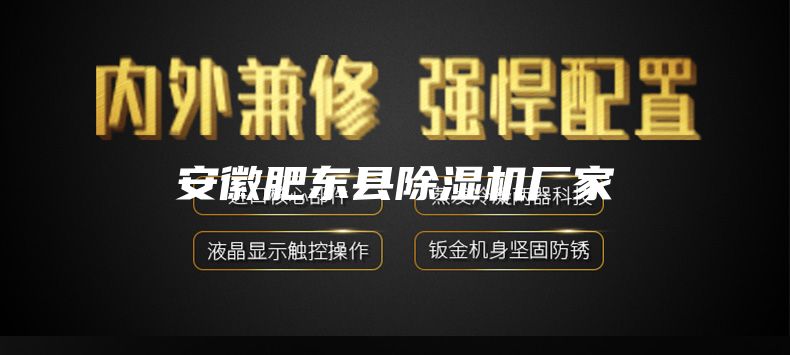 安徽肥東縣除濕機(jī)廠家