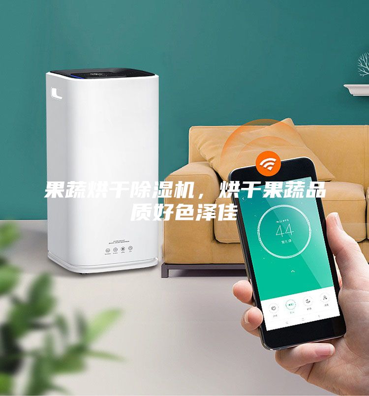 果蔬烘干除濕機,烘干果蔬品質(zhì)好色澤佳