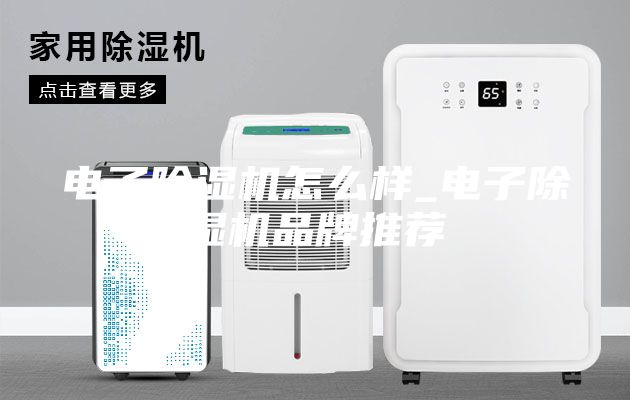 電子除濕機(jī)怎么樣_電子除濕機(jī)品牌推薦