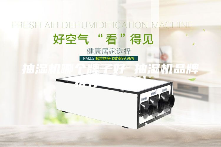 抽濕機哪個牌子好 抽濕機品牌推薦【詳解】