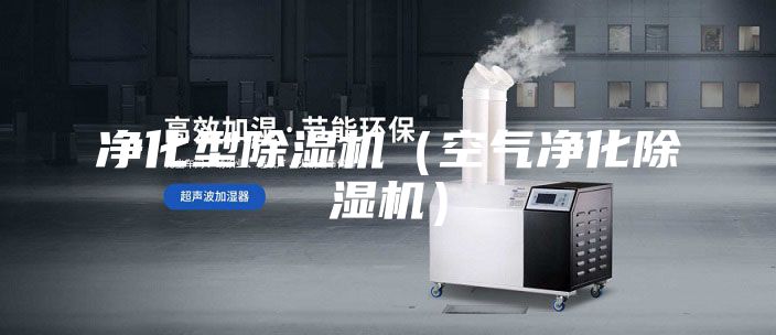 凈化型除濕機(jī)（空氣凈化除濕機(jī)）