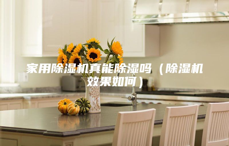 家用除濕機真能除濕嗎(除濕機效果如何)