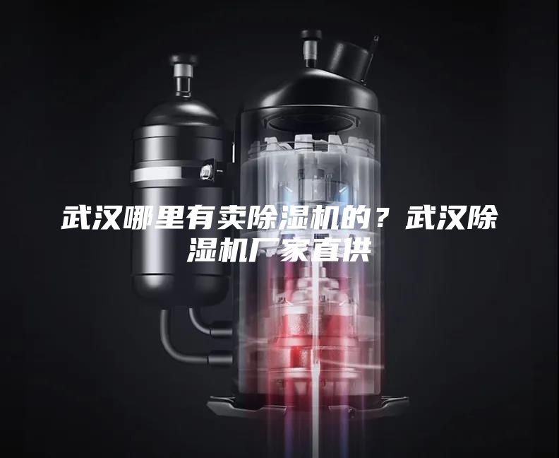 武漢哪里有賣除濕機的？武漢除濕機廠家直供