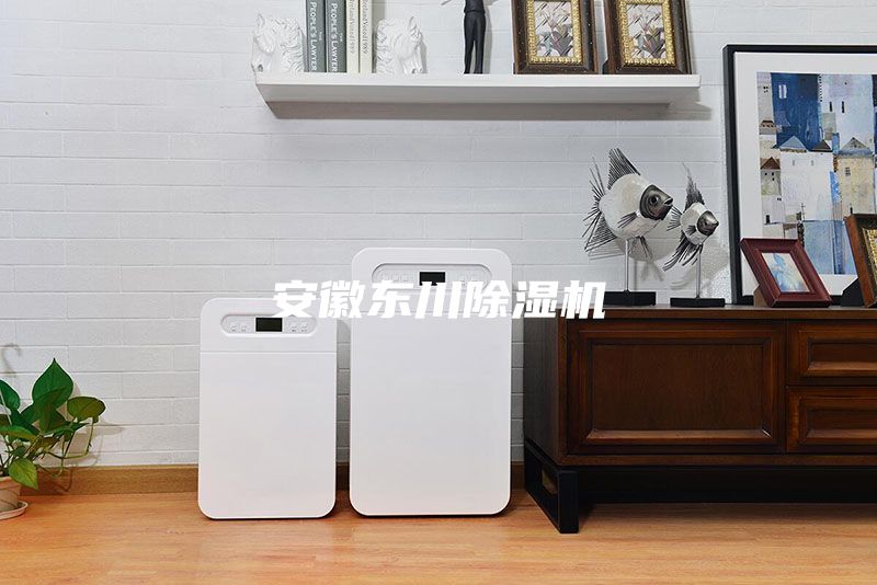 安徽東川除濕機