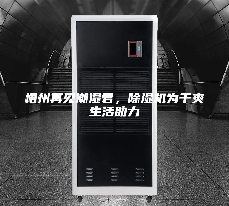 梧州再見(jiàn)潮濕君,除濕機(jī)為干爽生活助力