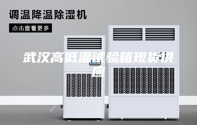 武漢高低溫試驗(yàn)箱現(xiàn)貨供應(yīng)