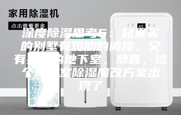 深度除濕思考5：如果買(mǎi)的別墅有雞肋的閣樓，又有操心的地下室，恭喜，這個(gè)地下室除濕魔改方案出現(xiàn)了