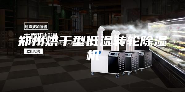鄭州烘干型低濕轉(zhuǎn)輪除濕機(jī)
