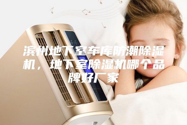 濱州地下室車(chē)庫(kù)防潮除濕機(jī),地下室除濕機(jī)哪個(gè)品牌好廠家