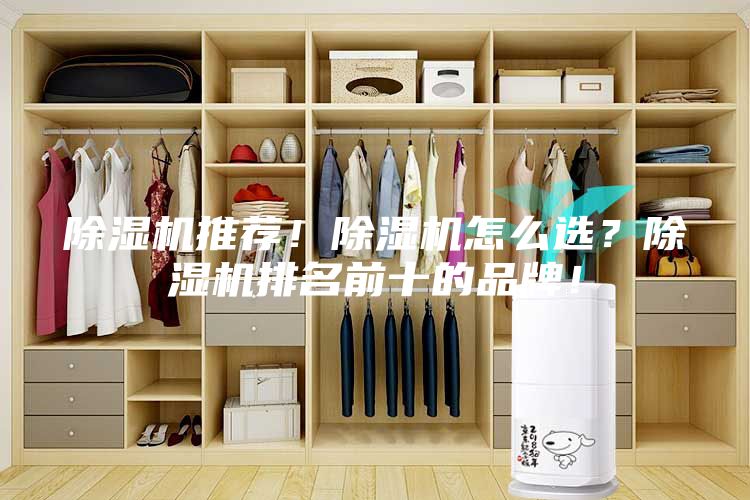 除濕機推薦！除濕機怎么選？除濕機排名前十的品牌！