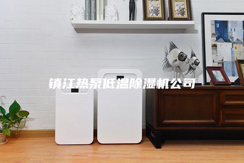 鎮(zhèn)江熱泵低溫除濕機(jī)公司