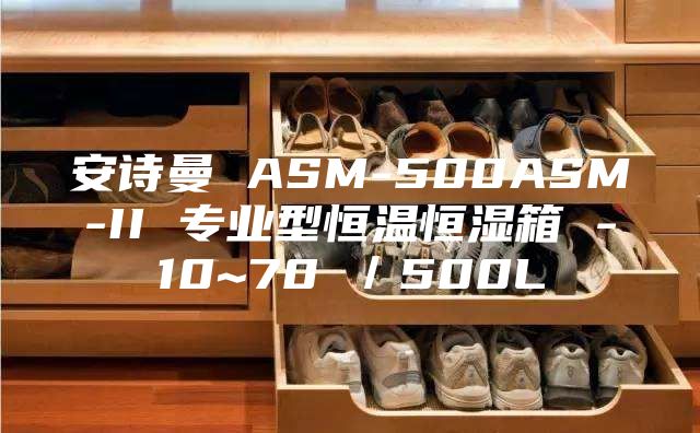 安詩曼 ASM-500ASM-II 專業(yè)型恒溫恒濕箱 -10~70℃/500L