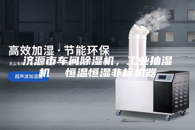 濟源市車間除濕機，工業抽濕機  恒溫恒濕非標機器